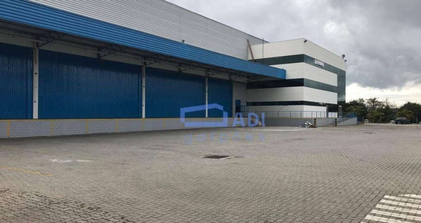 Galpão Industrial/Logístico Monousuário - Locação - 5.000 m² - Rod. Dutra - Guarulhos - SP