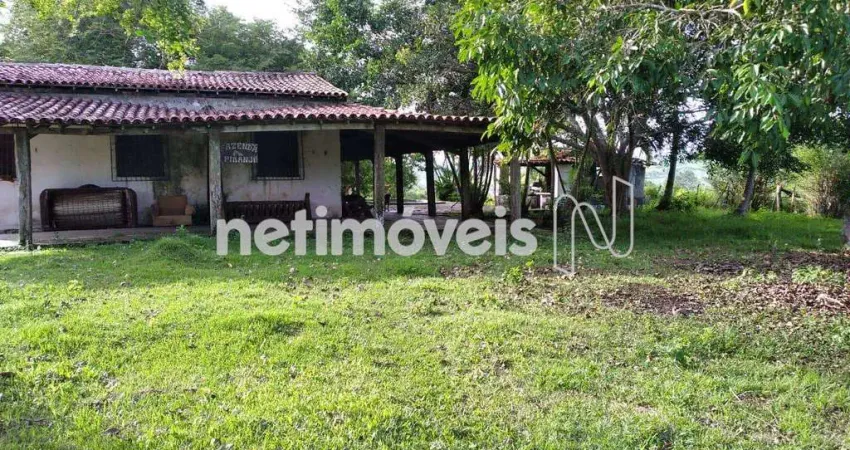 Fazenda à venda na Rodovia BR-324, Distrito Industrial, Candeias