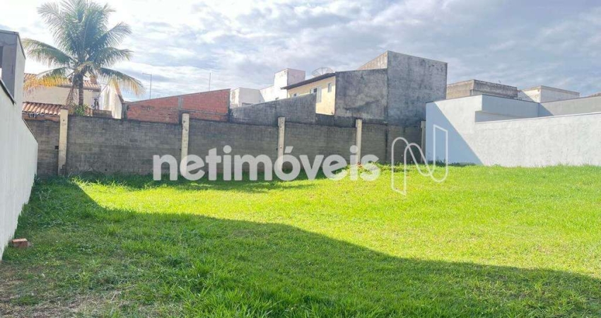 Venda Lote-Área-Terreno Parque Nova Carioba Americana