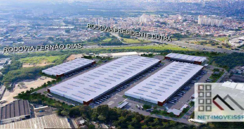 GALPÃO – CENTRO LOGÍSTICO (3.835,50m²). LOCALIZAÇÃO ESTRATÉGICA DAS RODOVIAS FERNÃO DIAS COM A PRESIDENTE DUTRA