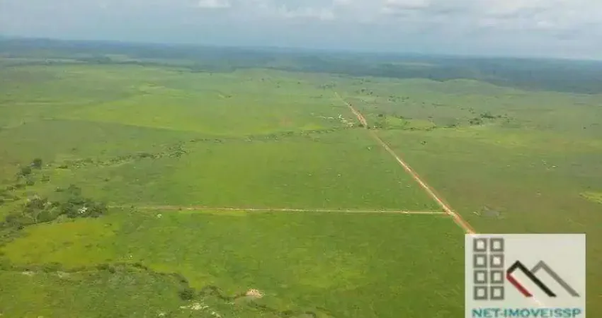 FAZENDA (27.000 hectares), CASA SEDE, CURRAL PARA MANEJO DE ANIMAIS. BOM JESUS DO ARAGUAIA, PÓLO DO AGRONEGÓCIO