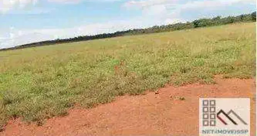 FAZENDA (5.200 hectares). ALTO POTENCIAL PARA CRIAÇÃO E ENGORDA DE GADO NO VALE DO ARAGUAIA