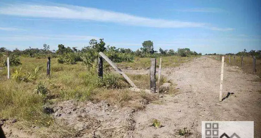FAZENDA (17.500 hectares). REGÃO CONHECIDA POR SOLOS ALTAMENTE FÉRTEIS E VALORIZADA