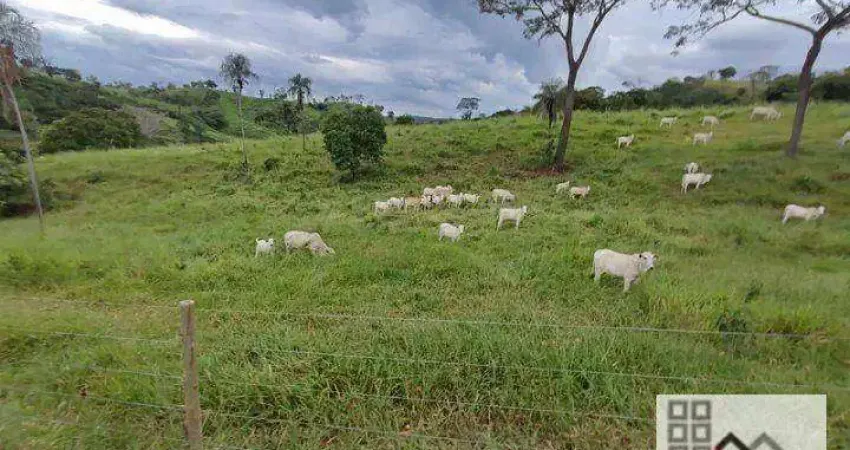 Fazenda à venda na Área Rural, 100, Zona Rural, Padre Bernardo