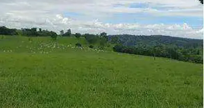 FAZENDA (126 Alqueires). FAZENDA COM COMPLETA BENFEITORIA E INFRAESTRUTURA