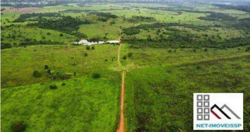 Fazenda (4.598 hect), juara, faz parte do noroeste mato-grossense, um dos polos de expansão do agronegócio