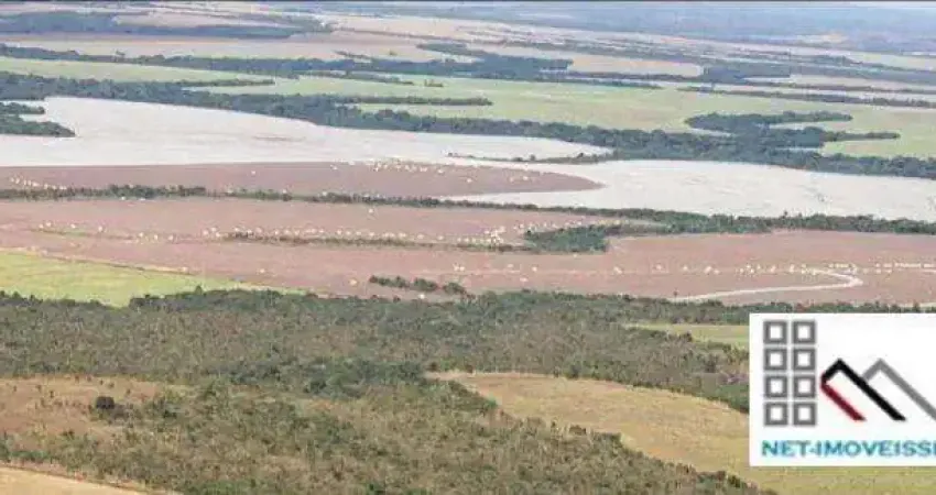 Venda fazenda (17.531 hec). dupla aptidão, alta produtivadade e infraestrutura completa