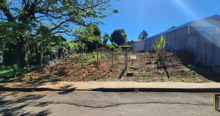 Terreno para Venda em Guarapuava, Morro Alto