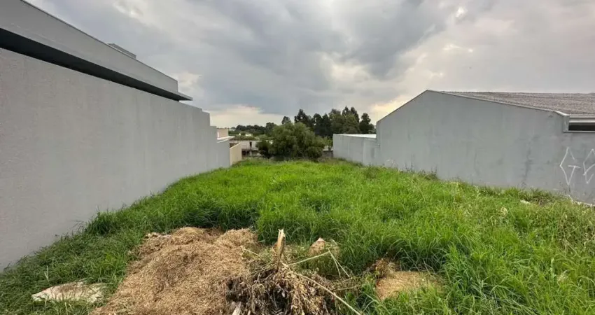Terreno à venda na Rua Francisco Brochado da Rocha, 326, Vila Carli, Guarapuava