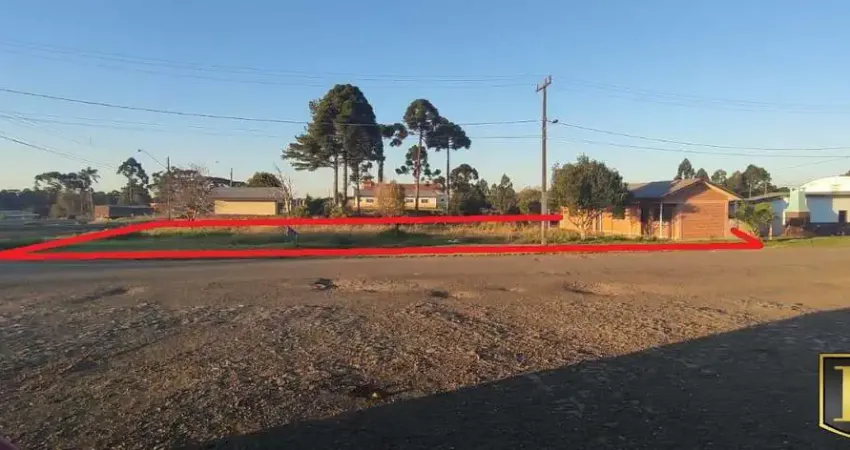 Terreno à venda na BR 277, Guará, Guarapuava