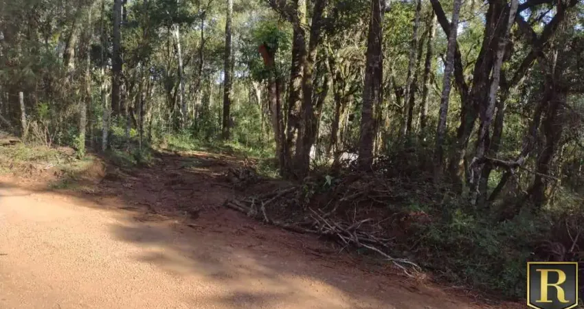 Chácara para Venda em Guarapuava, Jordão