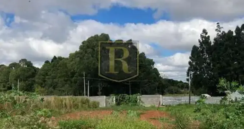 Terreno à venda na Avenida das Profissões, Morro Alto, Guarapuava