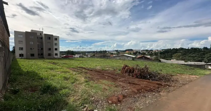 Terreno à venda na Rua Fênix, 278, São Cristóvão, Guarapuava