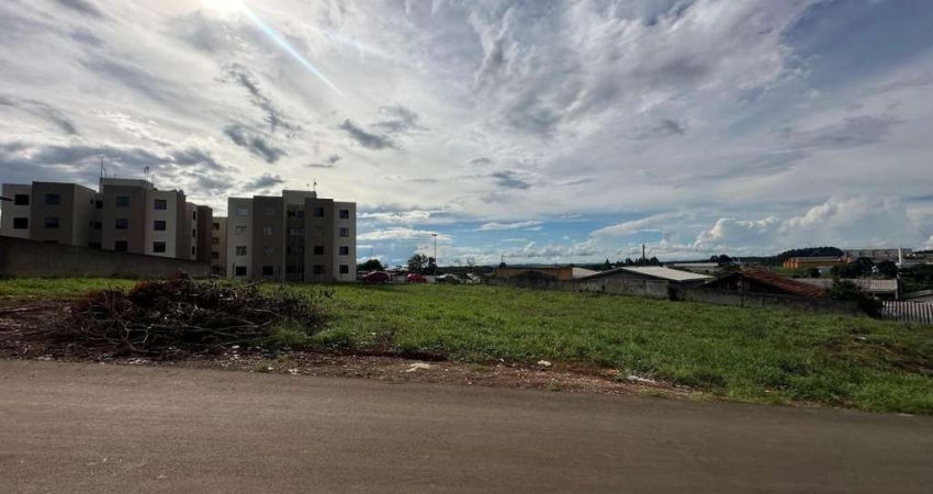 Terreno à venda na Rua Fênix, 278, São Cristóvão, Guarapuava
