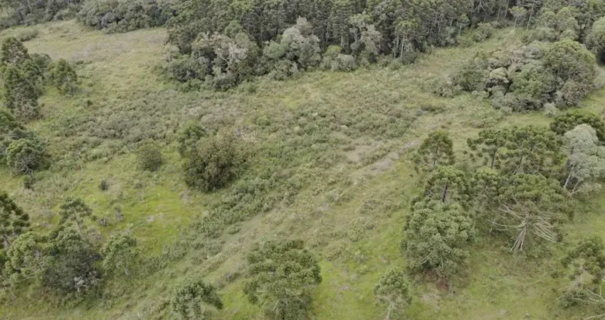 Chácara / sítio à venda no Guairacá, Guarapuava 