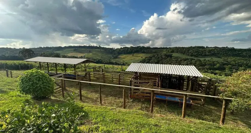 Chácara para Venda em Guarapuava, Guairacá