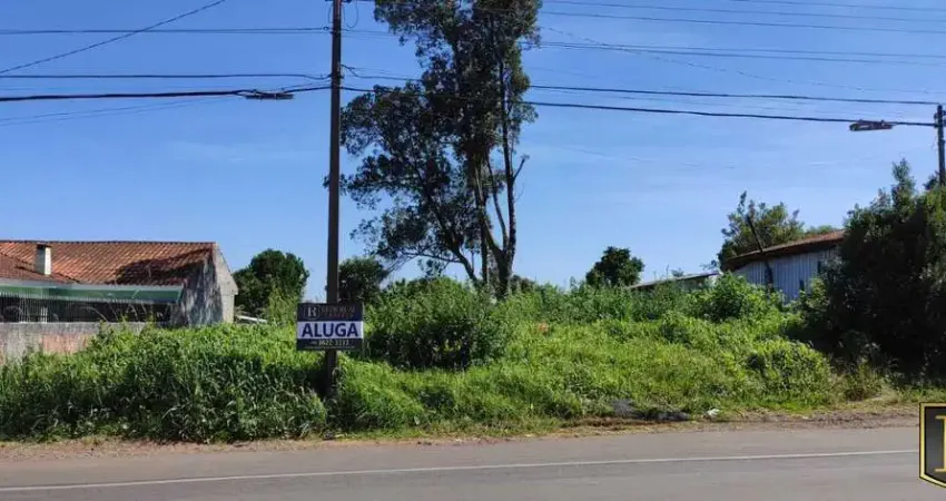Terreno para Locação em Guarapuava, Vila Bela