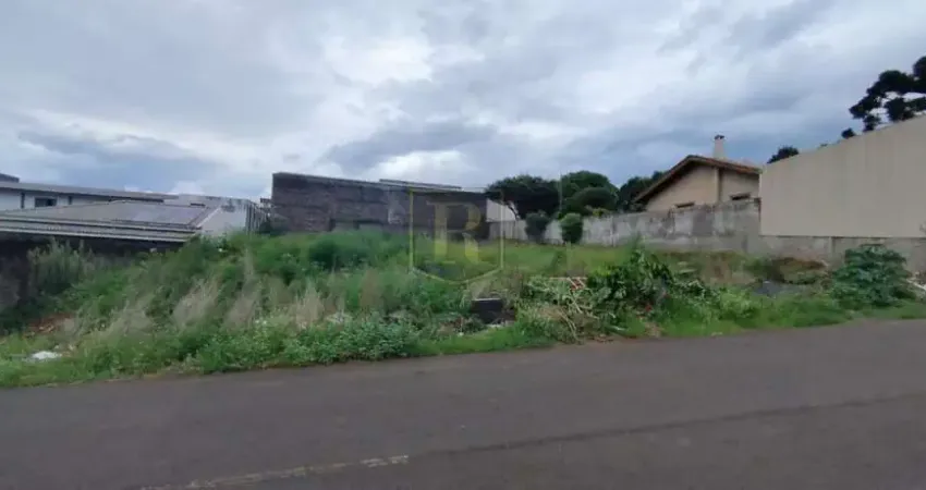 Terreno à venda na Rua Padre Chagas, Morro Alto, Guarapuava
