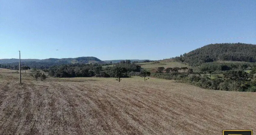 Chácara para Venda em Guarapuava, Jordão