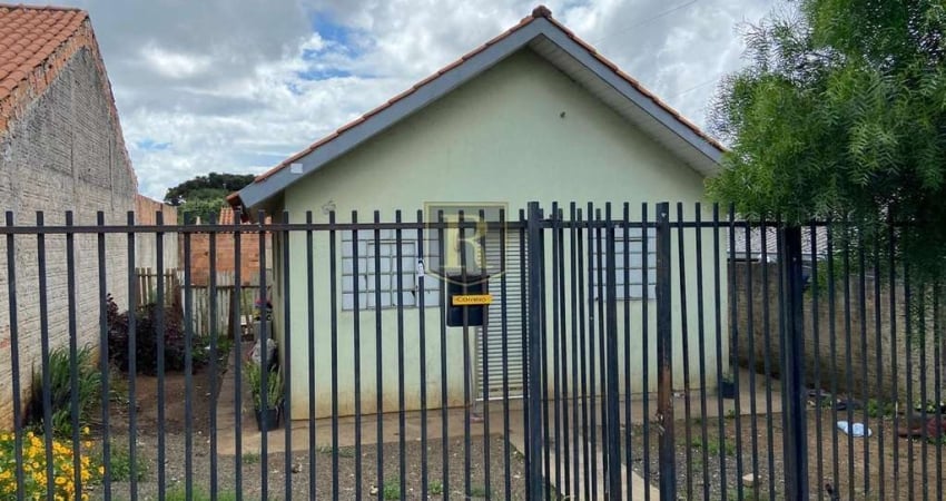 Casa para Venda em Guarapuava, Morro Alto, 2 dormitórios, 1 banheiro