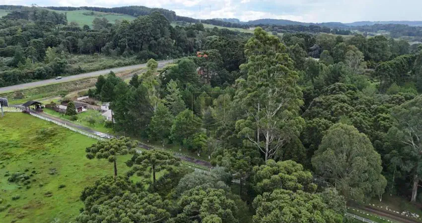 Chácara para Venda em Guarapuava, BR 277