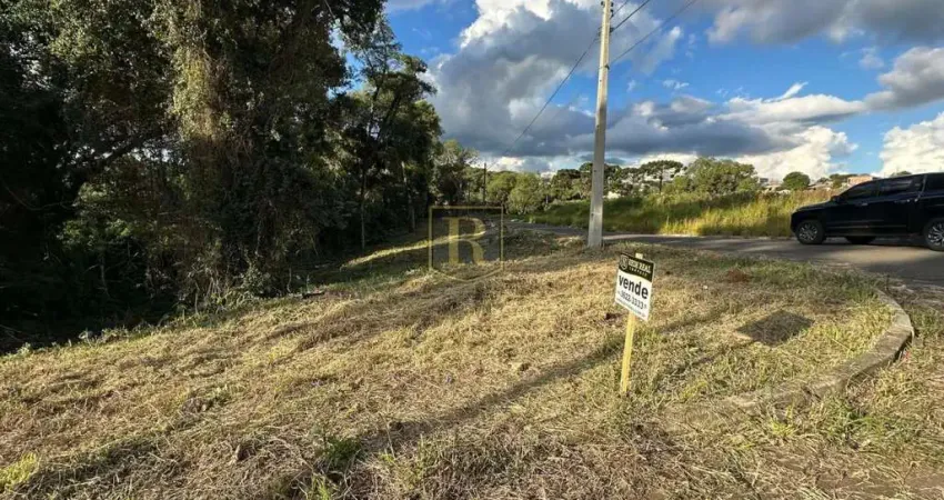 Terreno à venda na Rua Generoso de Paula Bastos, Boqueirão, Guarapuava