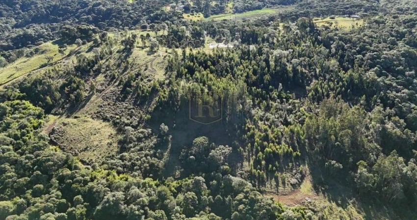 Fazenda à venda na Zona Rural, Pinhão 