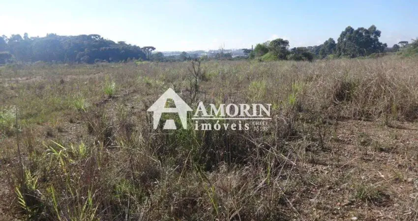 Terreno à venda, 12542 m  - Thomaz Coelho - Araucária PR