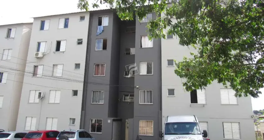 Aluguel - Apartamentos - 2 dormitórios - Esplanada - Caxias do Sul - RS