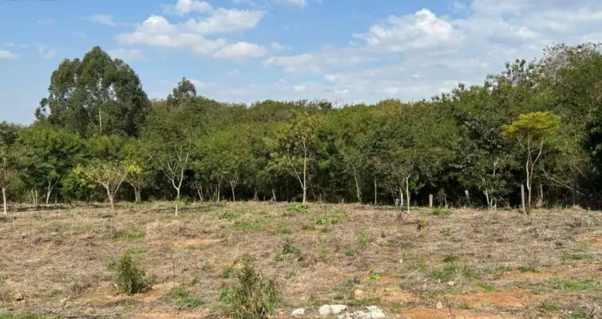 Terreno ótimo, com vista para área de preservação permanente.