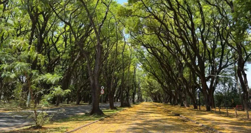 Terreno plano em rua sem saída. oportunidade! - bairro: nova piracicaba