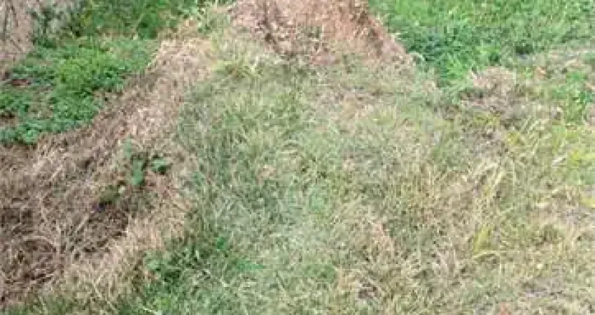 Terreno à venda com 1 quarto, sendo 1 suíte,  no condomínio picollo villaggio, louveira - sp