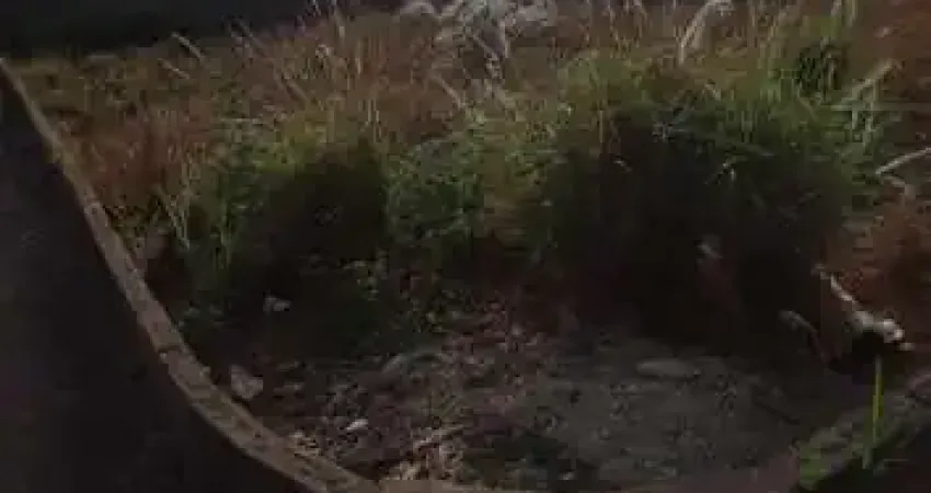 Terreno à venda na Avenida Lago Azul, Jardim Uberaba, Uberaba