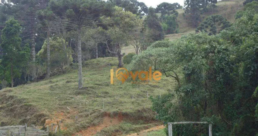 Terreno à venda no Centro, Gonçalves