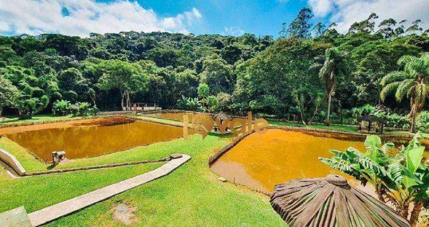 Chácara ampla, 25.700m² com 8 quartos a venda santa isabel/sp