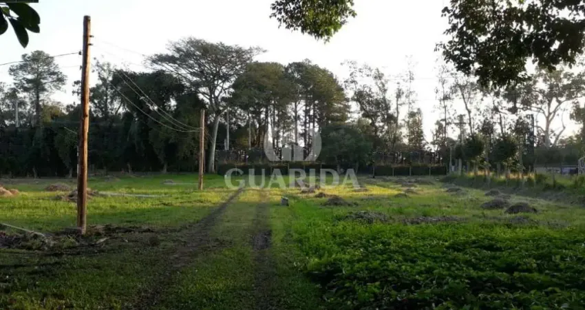 Terreno à venda na Avenida Edgar Pires de Castro, 4346, Restinga, Porto Alegre