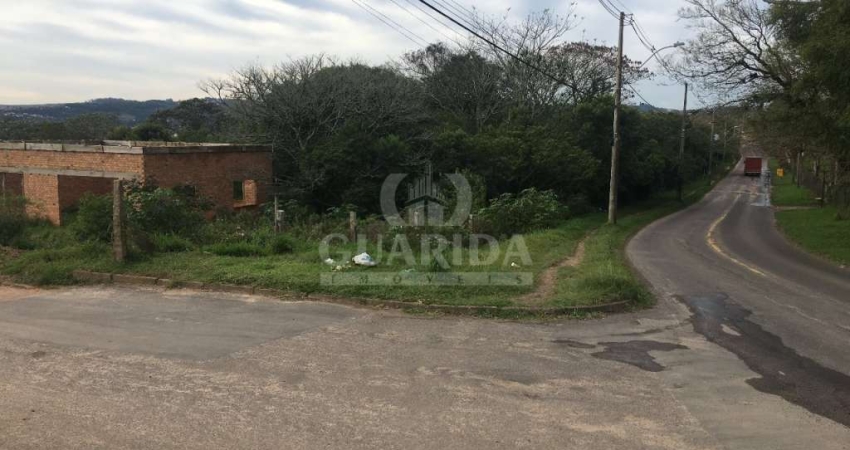 Terreno à venda na Estrada Cristiano Kraemer, 3035, Vila Nova, Porto Alegre