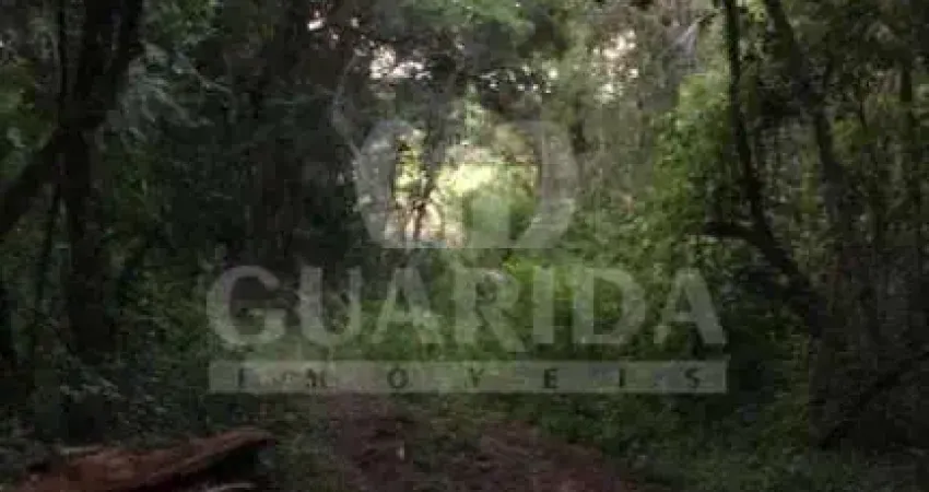 Chácara / sítio com 1 quarto à venda na Estrada São Caetano, 2501, Lami, Porto Alegre