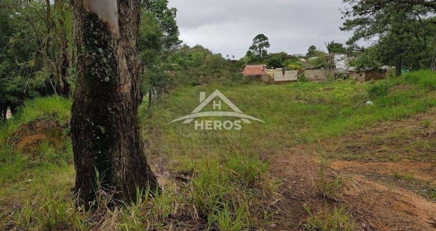 Terreno à venda na Rua Florêncio Farias, 746, Belém Novo, Porto Alegre