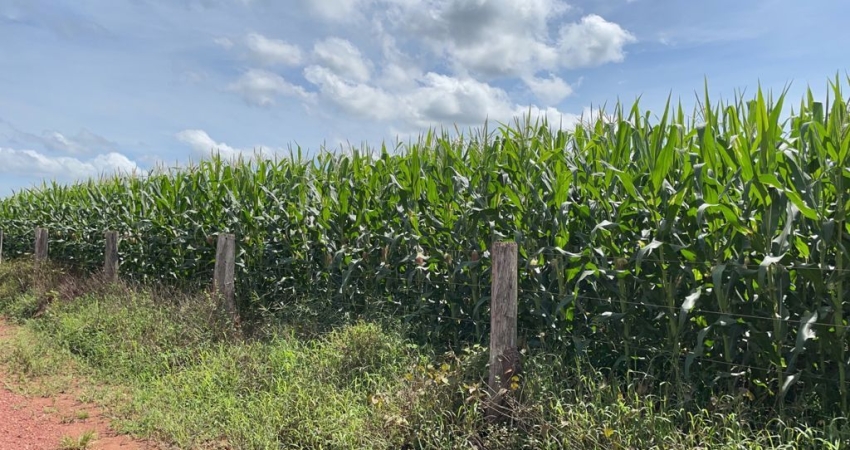 Excelente fazenda na região de Araguaína