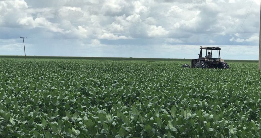 Excelente fazenda no Piauí próximo a Bom Jesus
