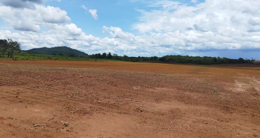 Fazenda em Brejinho de Nazaré á 23 km da 153 (Rodovia Belém/Brasilia)