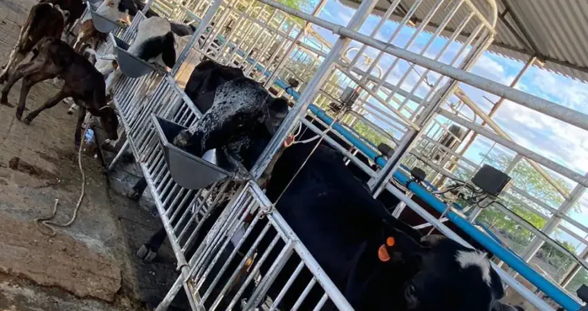 Fazenda à venda na Zona Rural, Iaçu 