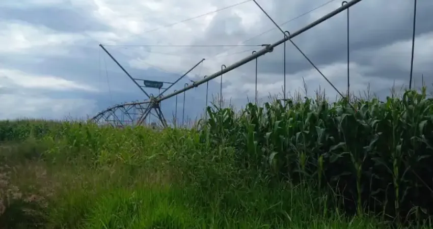 Fazenda à venda na Zona Rural, Perdizes
