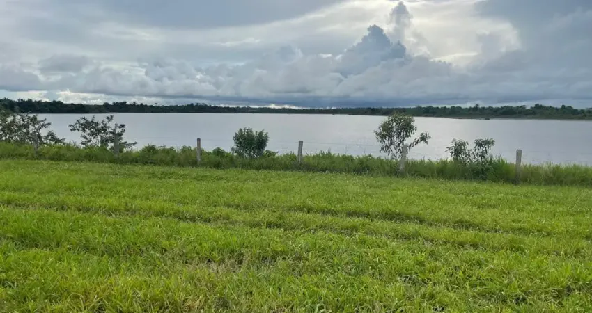Vende-se fazenda  no estado do tocantins dupla aptidão pecuária e lavoura