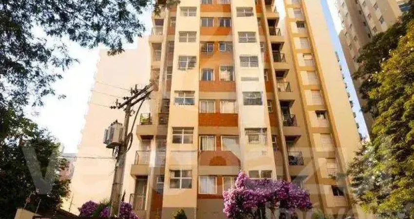 Apartamento com 1 quarto para alugar no Cambuí, Campinas 