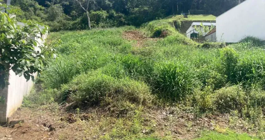 Terreno à venda, 1000 m² por R$ 280.000,00 - Novo Horizonte - Juiz de Fora/MG