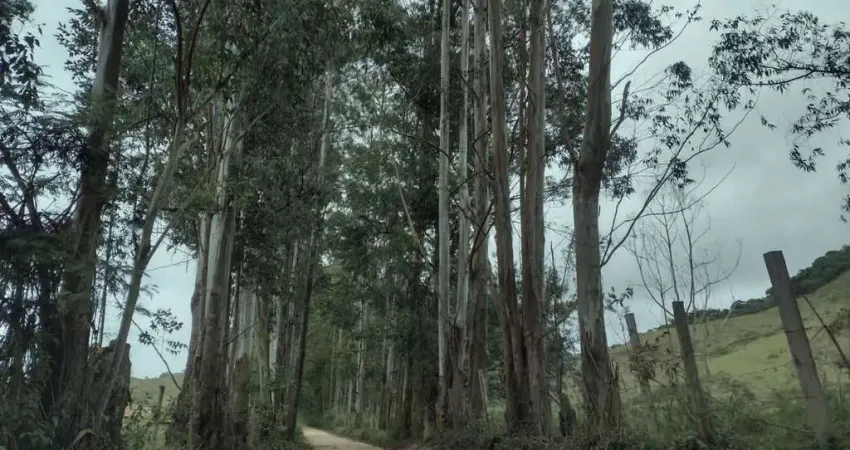 Fazenda à venda na Zona Rural, Chácara 