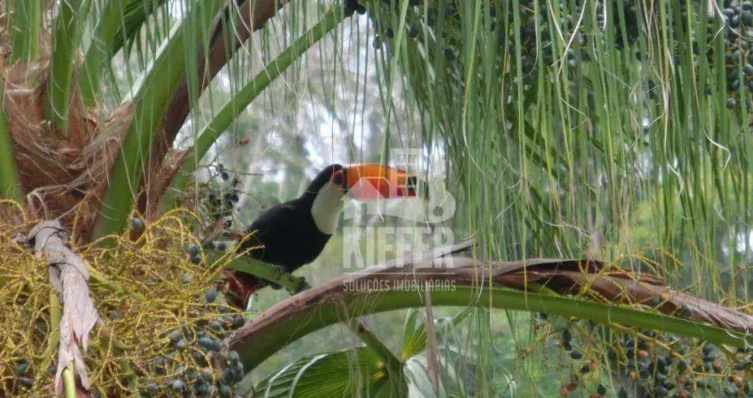 Chácara / sítio com 7 quartos à venda na Estrada Chibante, 891, Muriqui, Niterói