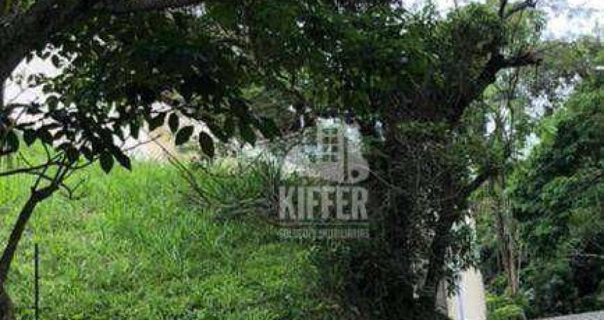 Terreno à venda, 580 m² por R$ 175.000,00 - Serra Grande - Niterói/RJ